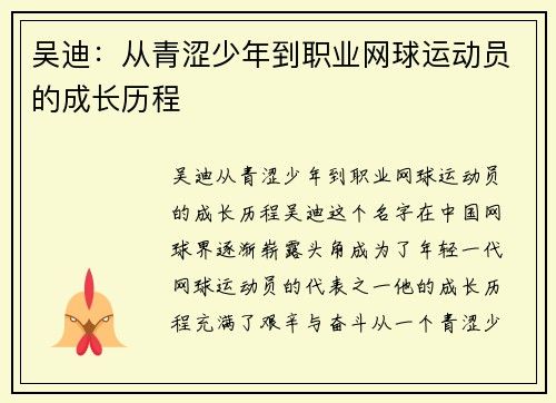 吴迪：从青涩少年到职业网球运动员的成长历程